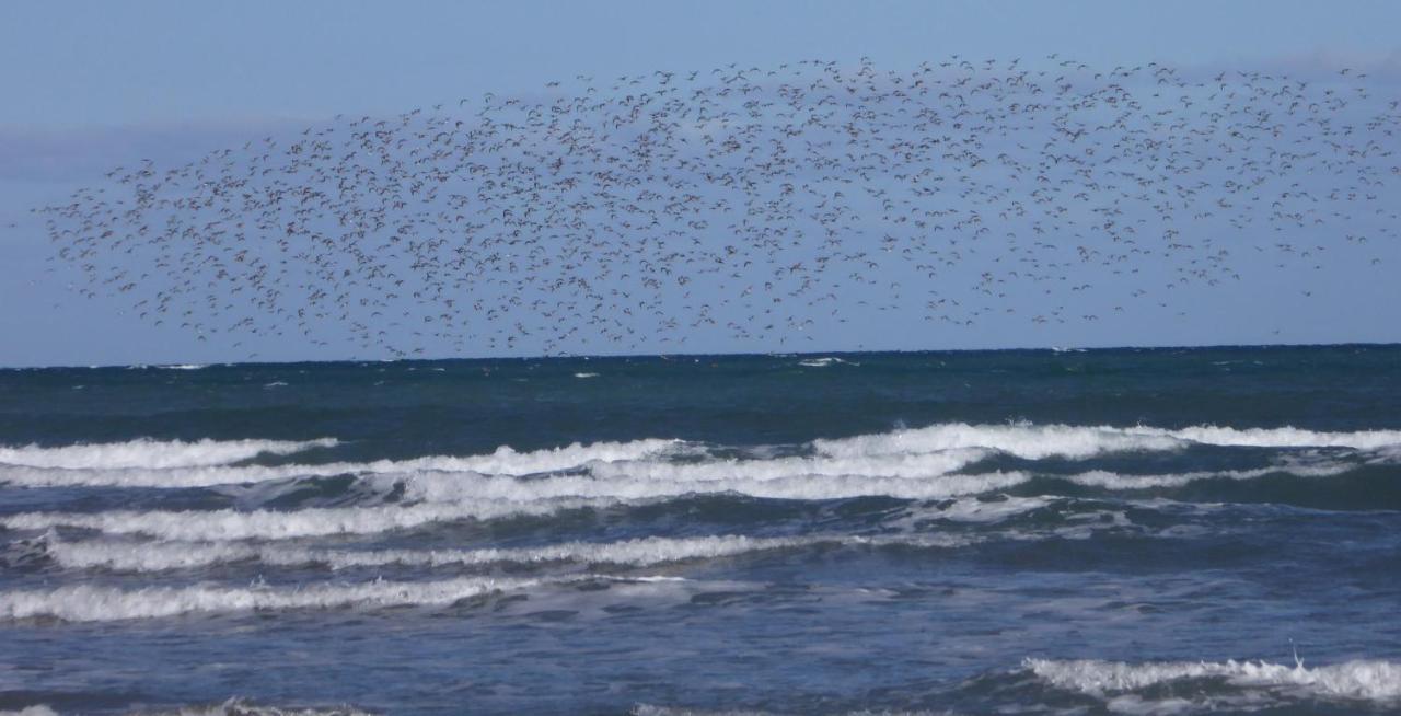 Medanos Patagonia Lejlighed Las Grutas Eksteriør billede